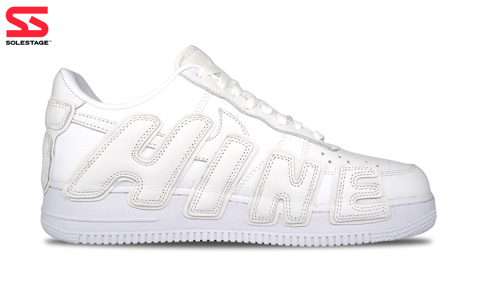af1 x cactus plant